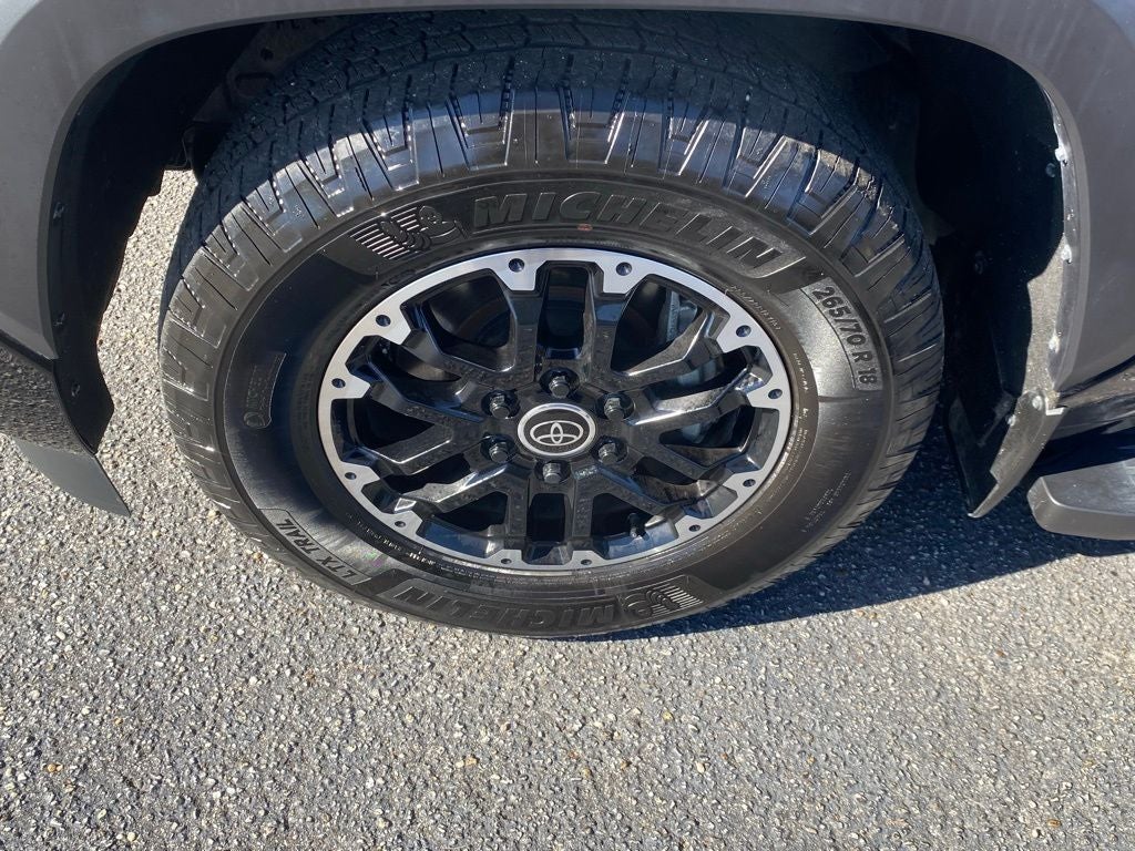 2024 Toyota Sequoia SR5