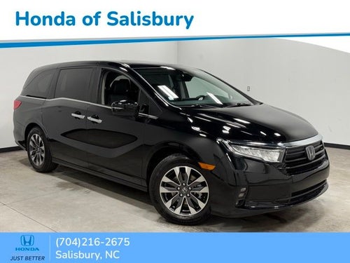 2024 Honda Odyssey EX-L