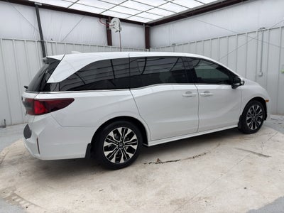 2026 Honda Odyssey Elite