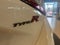2025 Honda Civic Type R Base