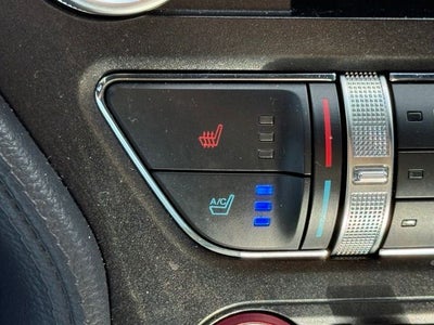2019 Ford Mustang Bullitt