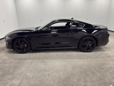 2022 Ford Mustang EcoBoost