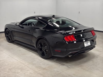 2022 Ford Mustang EcoBoost