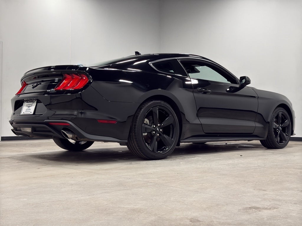 2022 Ford Mustang EcoBoost