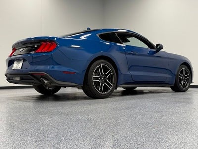 2023 Ford Mustang EcoBoost