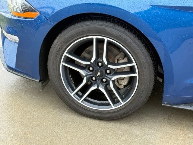 2023 Ford Mustang EcoBoost