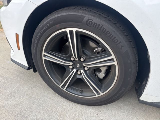 2025 Ford Mustang EcoBoost