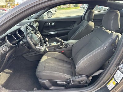 2019 Ford Mustang EcoBoost