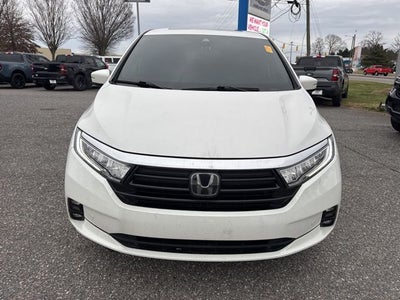 2024 Honda Odyssey Elite