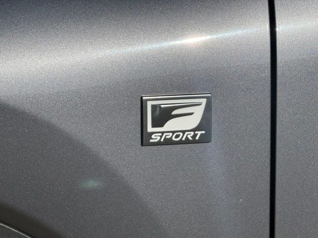 2020 Lexus NX 300 F Sport