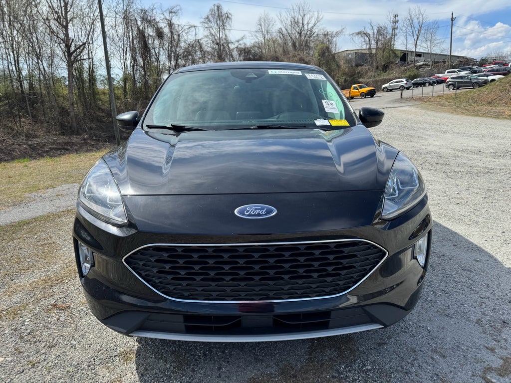 2022 Ford Escape Hybrid SEL