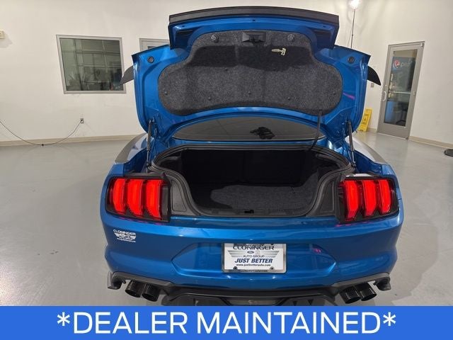 2019 Ford Mustang GT Premium