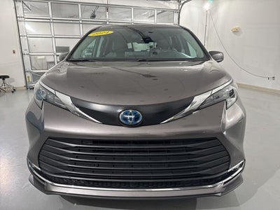 2024 Toyota Sienna XLE 7 Passenger