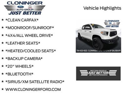 2019 Toyota Tundra Platinum 5.7L V8