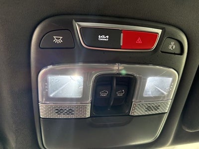 2024 Kia Telluride SX-Prestige X-Pro