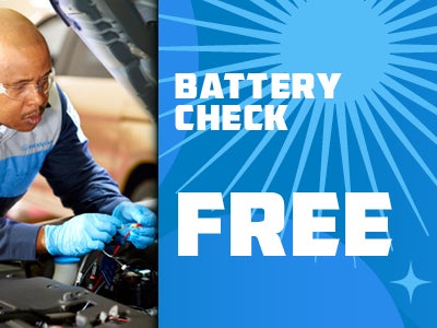 Free Battery Check