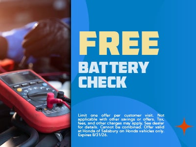 Free Battery Check